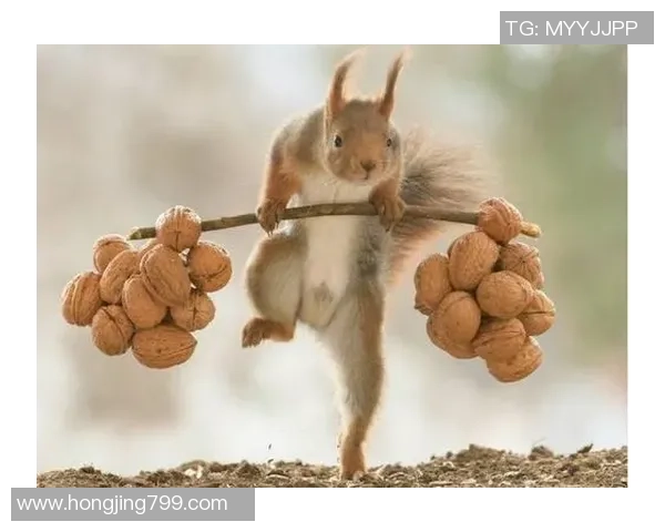 球星足球训练场上的趣味轶事与令人捧腹的搞笑瞬间 球星足球训练场上的趣味轶事与令人捧腹的搞笑瞬间