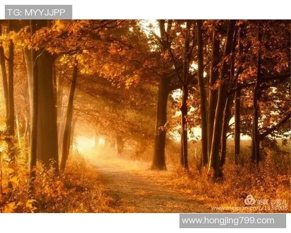 《探索天下足球国际足坛球星卡收藏世界之魅力与价值》