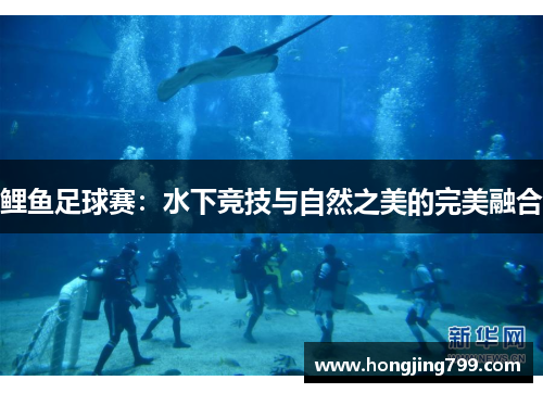 鲤鱼足球赛：水下竞技与自然之美的完美融合